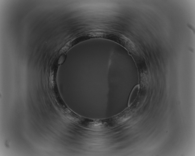 X0000097590267200802291226