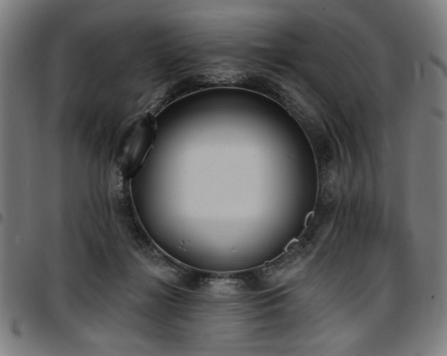X0000097590268200802291226