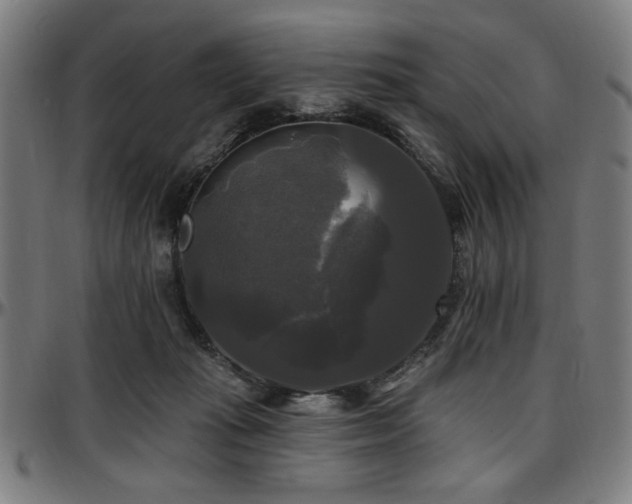 X0000097590269200802291226