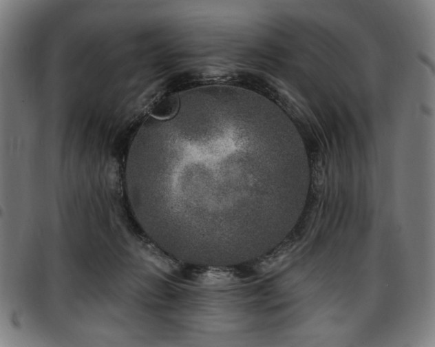 X0000097590270200802291226