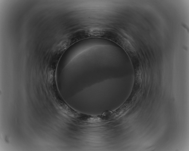 X0000097590271200802291226