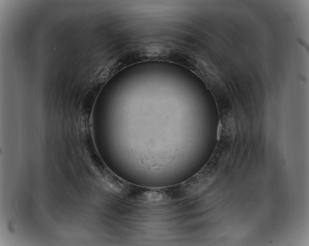 X0000097590272200802291226