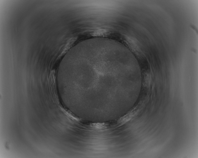 X0000097590273200802291226