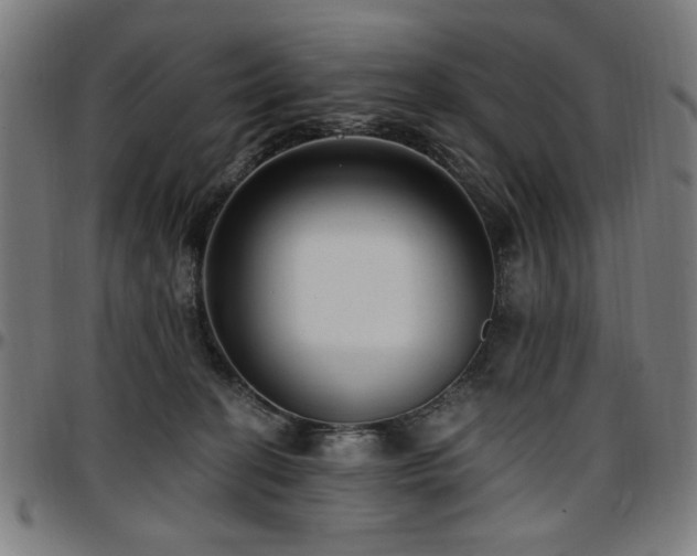 X0000097590274200802291226