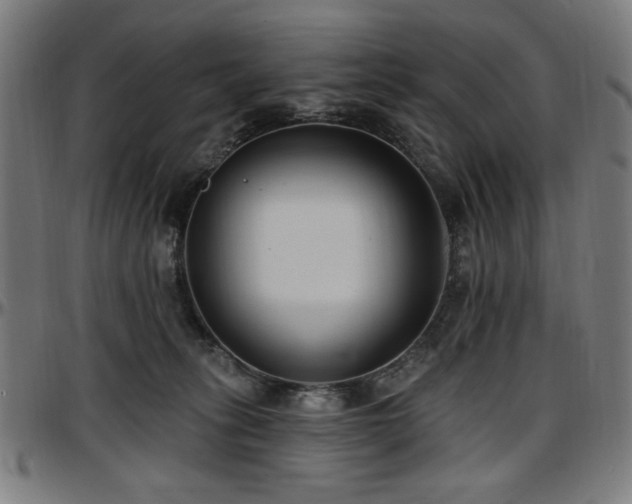 X0000097590275200802291226