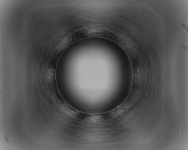 X0000097590278200802291226