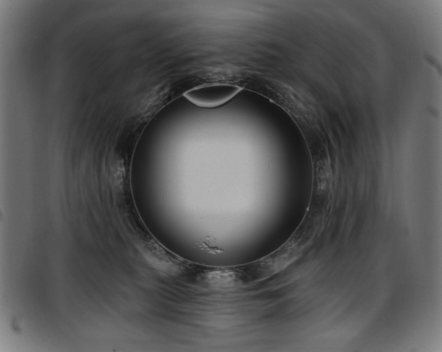 X0000097590279200802291226
