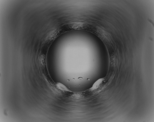 X0000097590280200802291226
