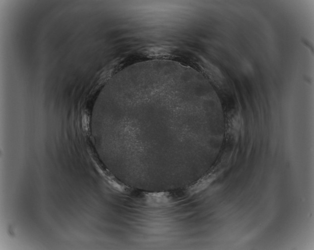 X0000097590281200802291226