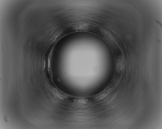 X0000097590282200802291226