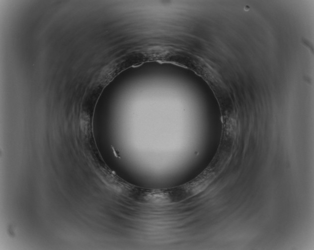 X0000097590283200802291226