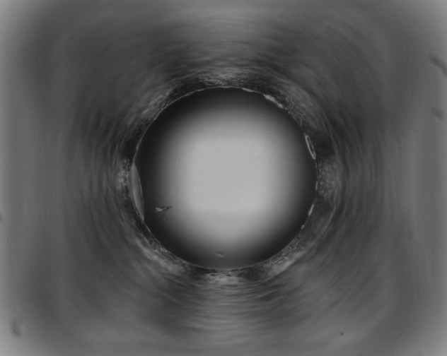 X0000097590284200802291226