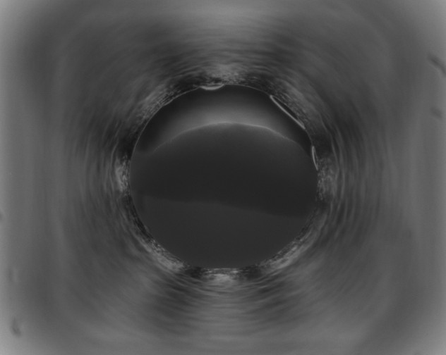 X0000097590285200802291226