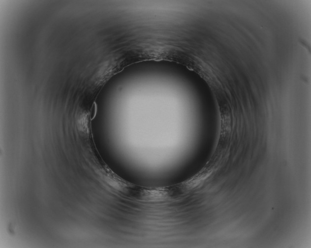 X0000097590286200802291226