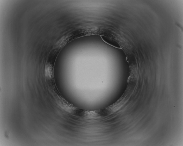 X0000097590287200802291226