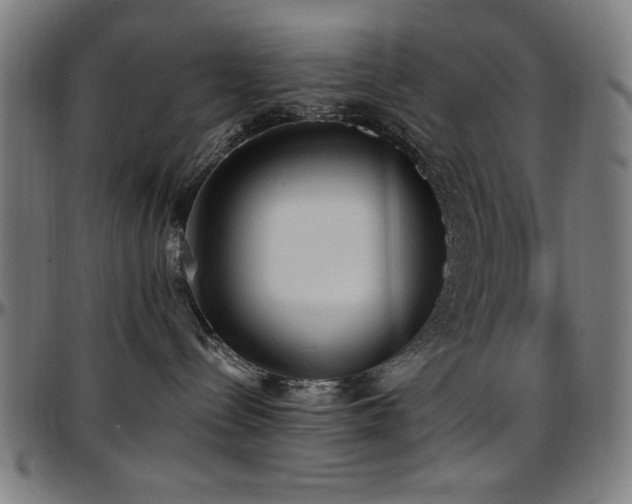 X0000097590288200802291226