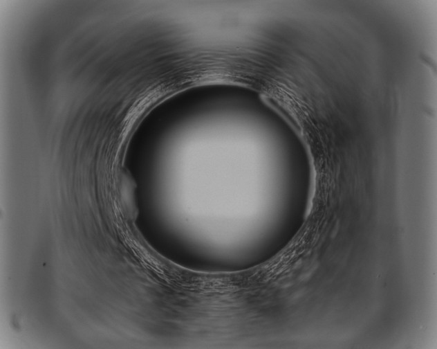 X0000097590289200802291226