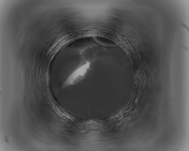 X0000097590290200802291226