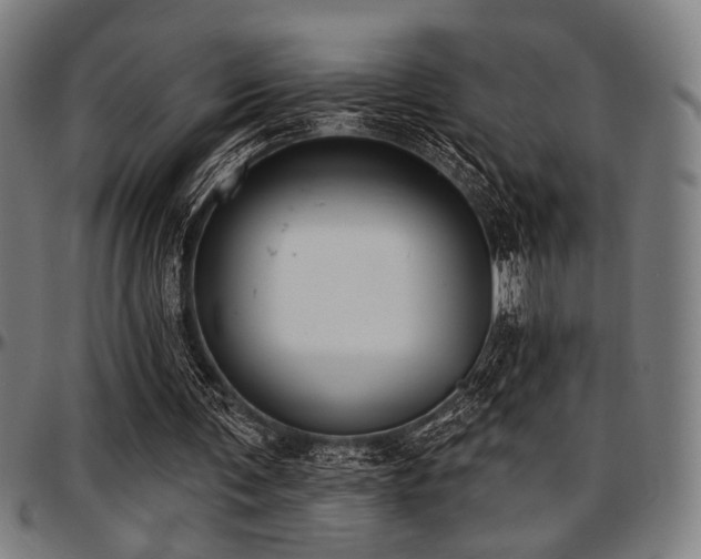 X0000097590291200802291226