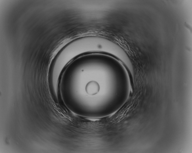 X0000097590292200802291226