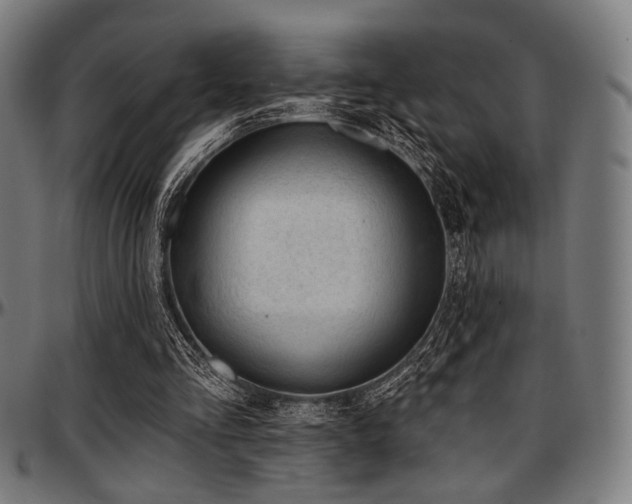 X0000097590293200802291225