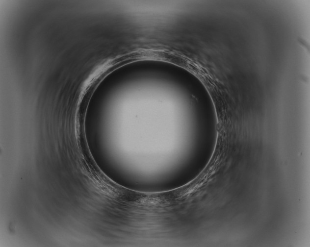 X0000097590294200802291225