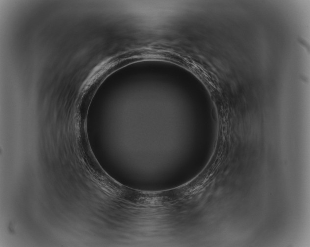 X0000097590295200802291225