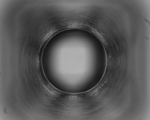X0000097590298200802291225