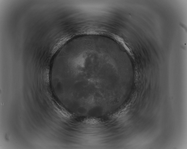 X0000097590299200802291225