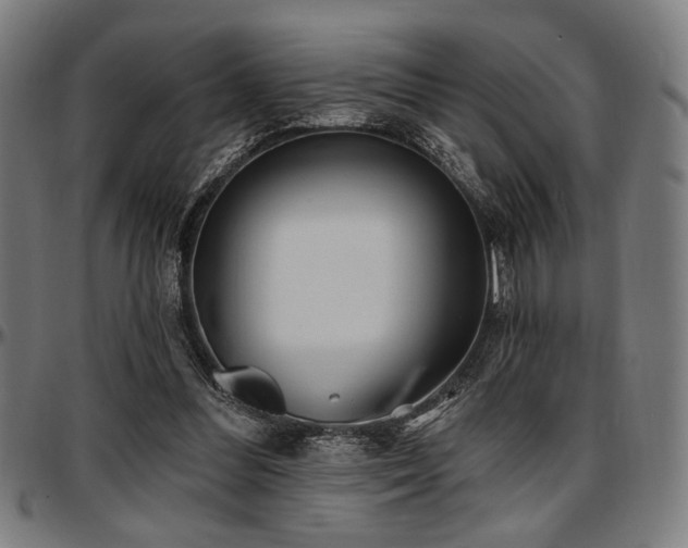 X0000097590300200802291225