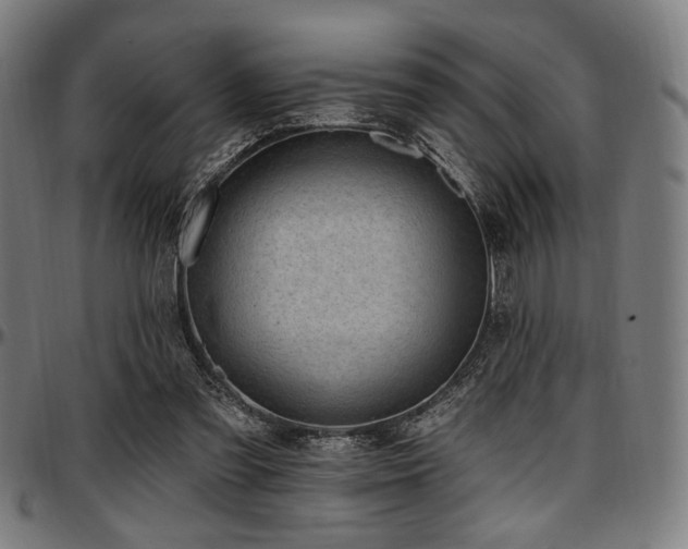 X0000097590301200802291225