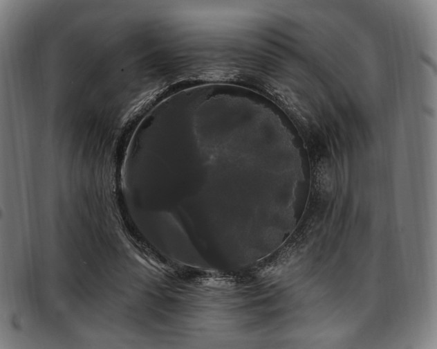 X0000097590303200802291225