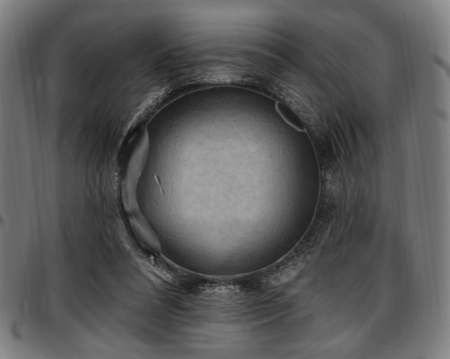 X0000097590304200802291225