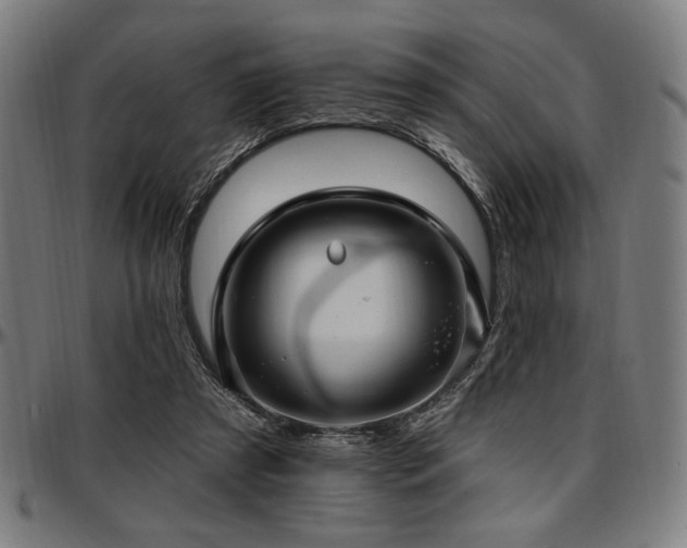 X0000097590305200802291225