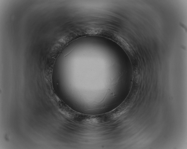 X0000097590307200802291225