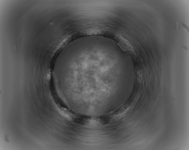 X0000097590308200802291225