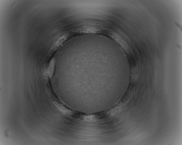 X0000097590309200802291225