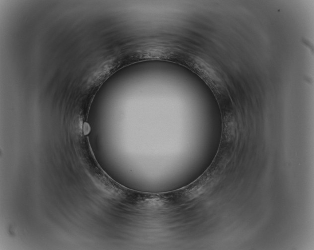 X0000097590310200802291225