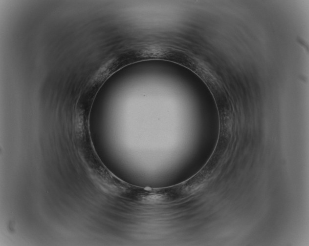 X0000097590312200802291225