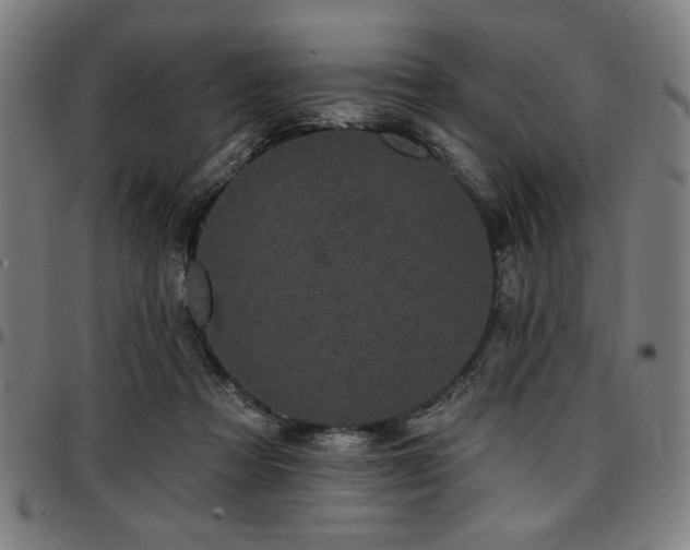 X0000097590313200802291225