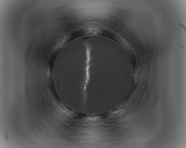 X0000097590314200802291225