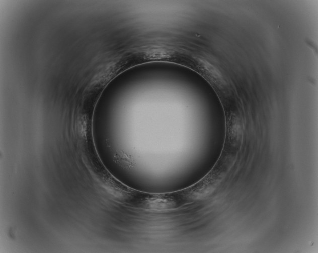 X0000097590315200802291225