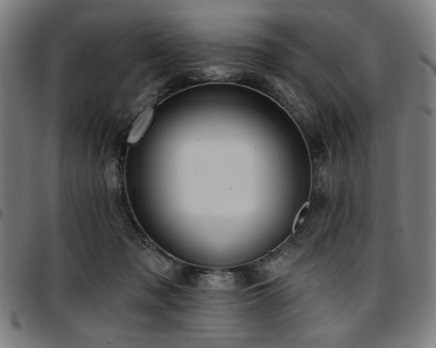 X0000097590317200802291225