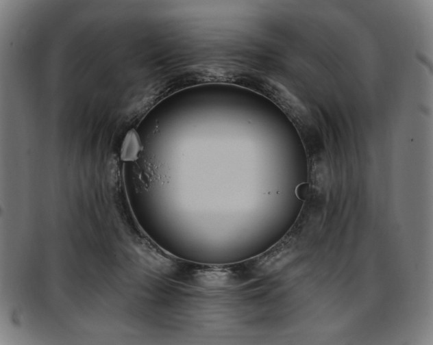 X0000097590318200802291225