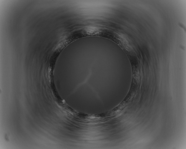 X0000097590319200802291225