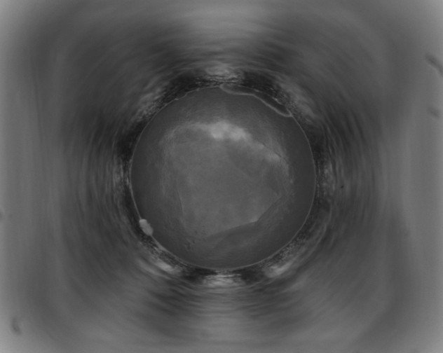 X0000097590320200802291225