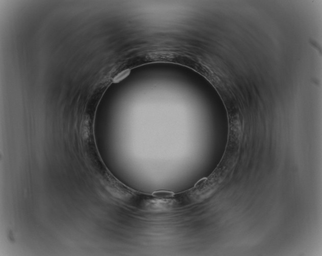 X0000097590323200802291225