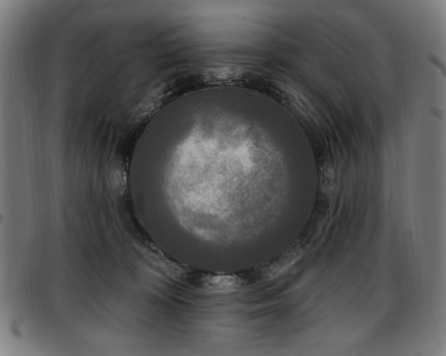 X0000097590324200802291225