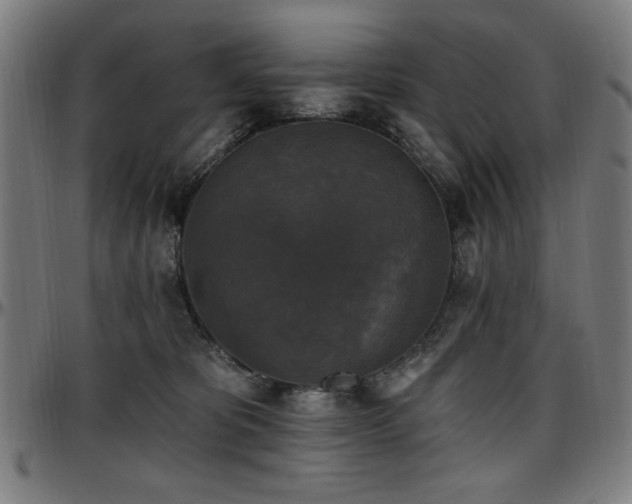 X0000097590325200802291225