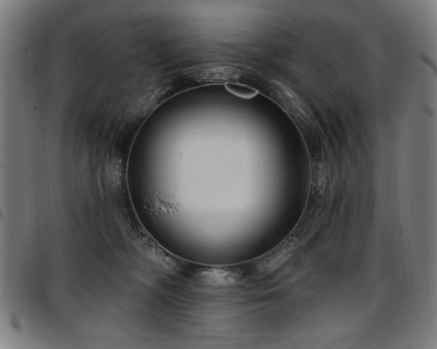 X0000097590326200802291225